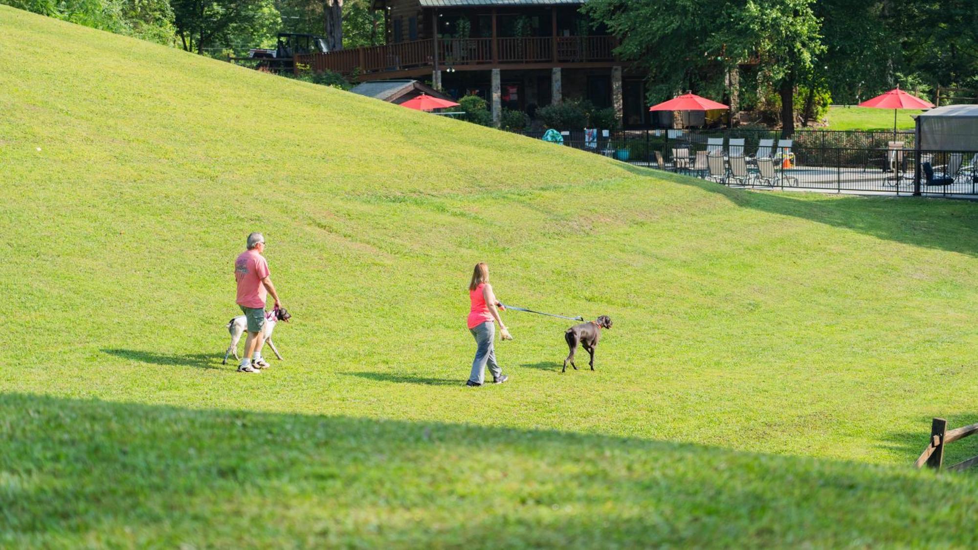 Yoli Bear Hideaway Villa Sevierville Exterior foto