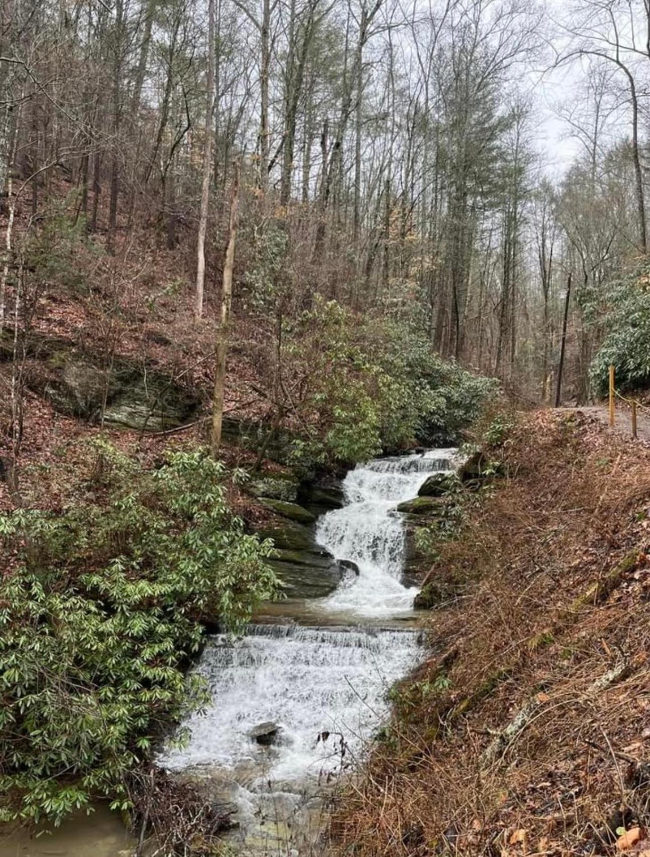 Yoli Bear Hideaway Villa Sevierville Exterior foto